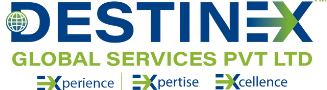 Destinex Global Services